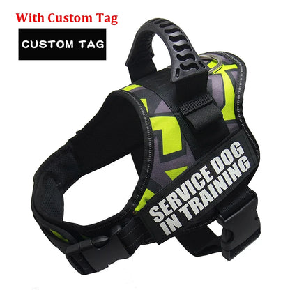 Personalized Reflective Adjustable Harness