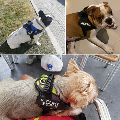 Personalized Reflective Adjustable Harness