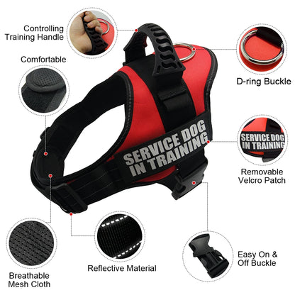 Personalized Reflective Adjustable Harness