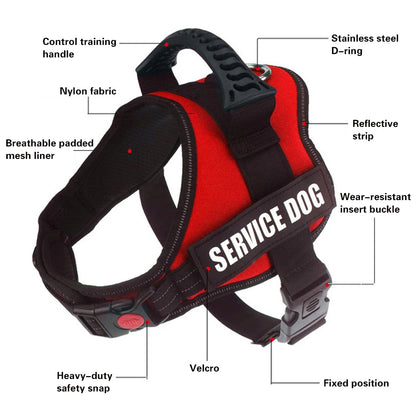 Personalized Reflective Adjustable Harness