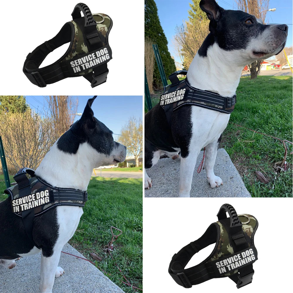 Personalized Reflective Adjustable Harness