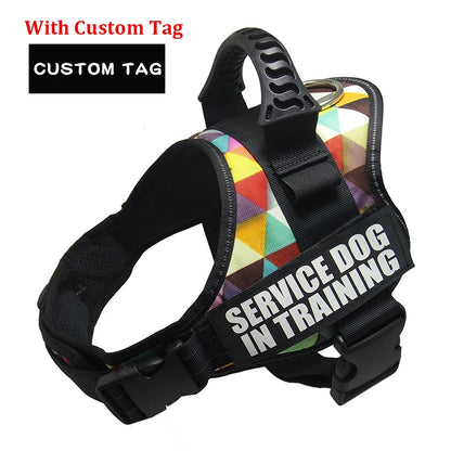 Personalized Reflective Adjustable Harness