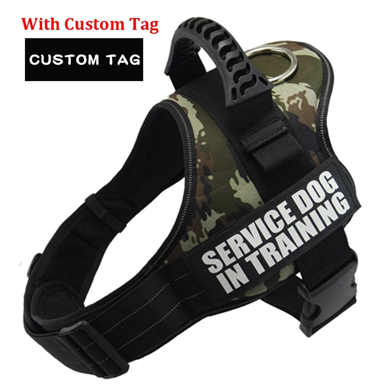 Personalized Reflective Adjustable Harness