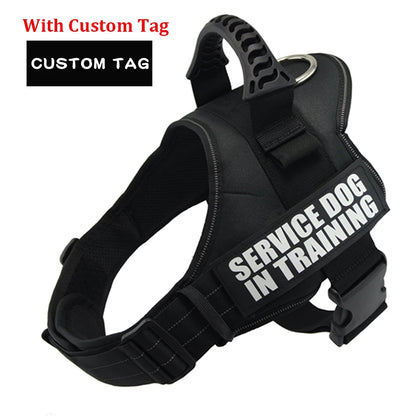 Personalized Reflective Adjustable Harness