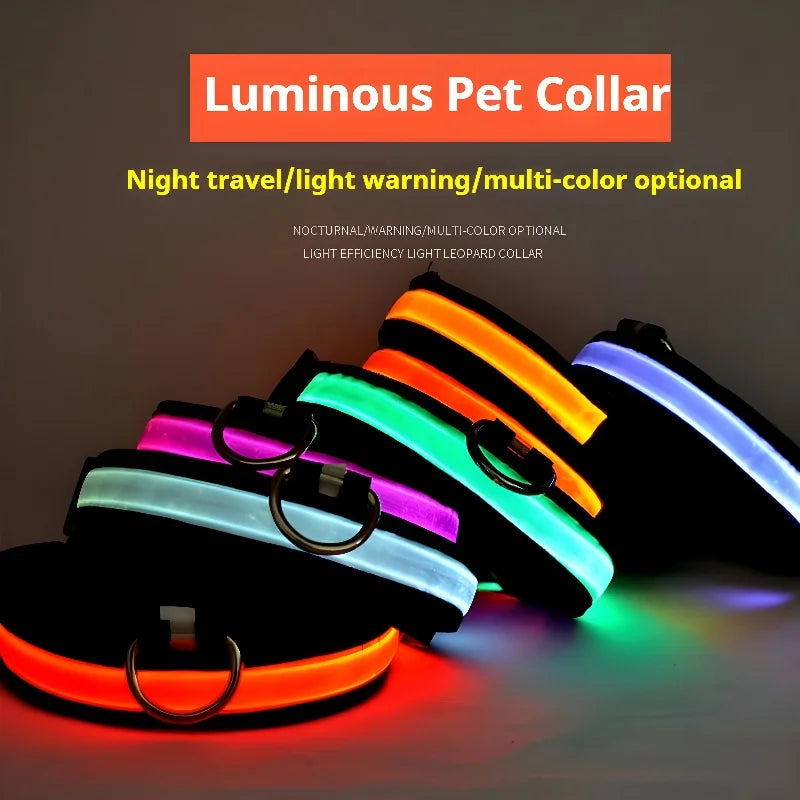 LED Night Safety Flashing Dog Collar