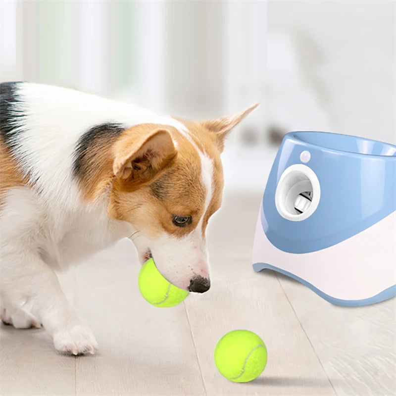 Automatic Tennis Launcher Dog Pet Toy