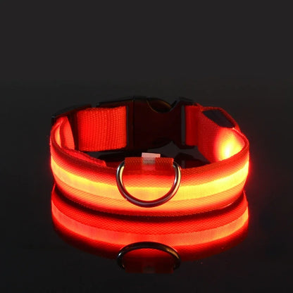 LED Night Safety Flashing Dog Collar