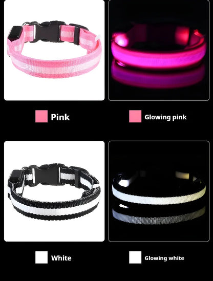 LED Night Safety Flashing Dog Collar