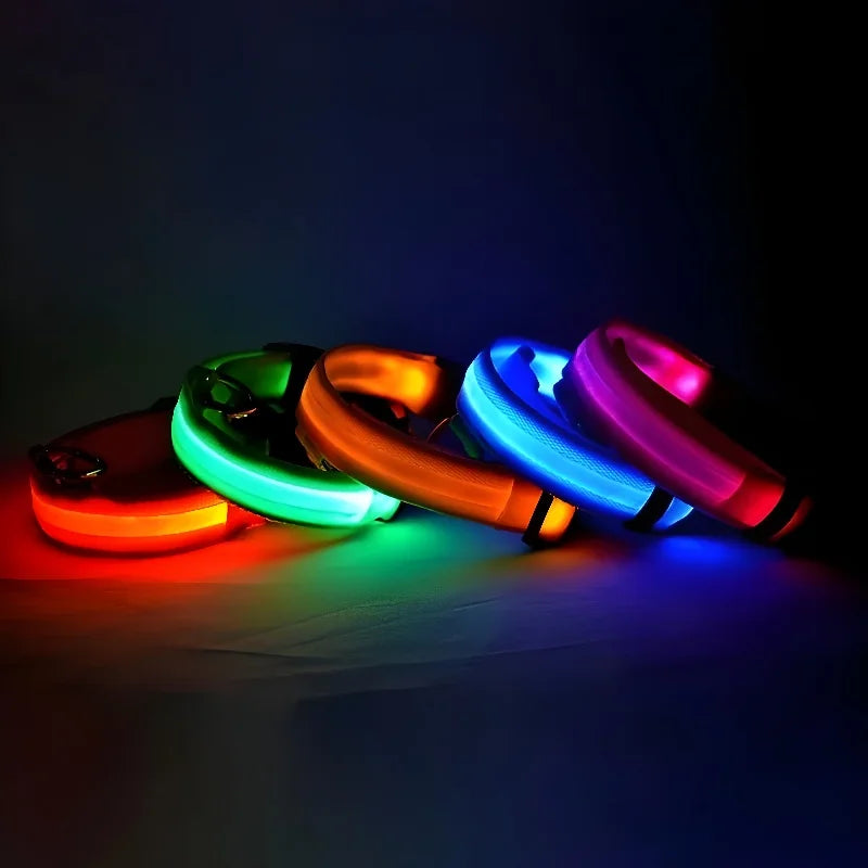 LED Night Safety Flashing Dog Collar