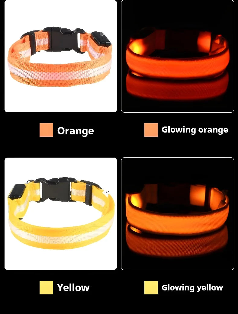 LED Night Safety Flashing Dog Collar