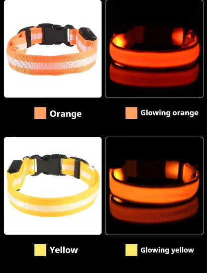 LED Night Safety Flashing Dog Collar