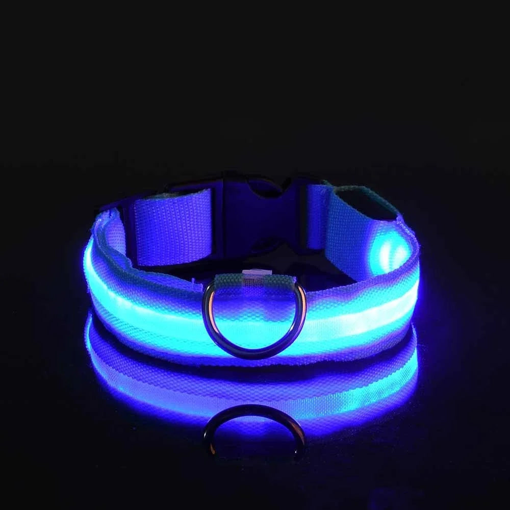 LED Night Safety Flashing Dog Collar