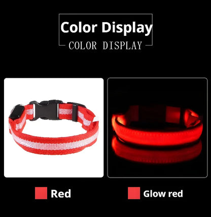 LED Night Safety Flashing Dog Collar