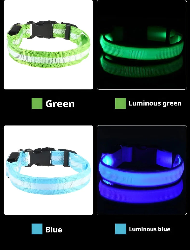 LED Night Safety Flashing Dog Collar