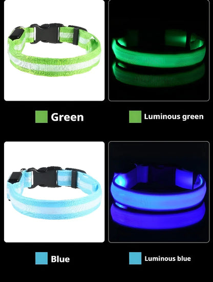 LED Night Safety Flashing Dog Collar