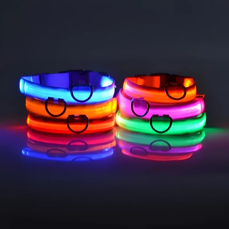 LED Night Safety Flashing Dog Collar