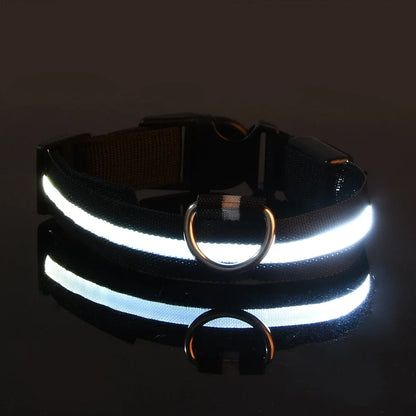 LED Night Safety Flashing Dog Collar