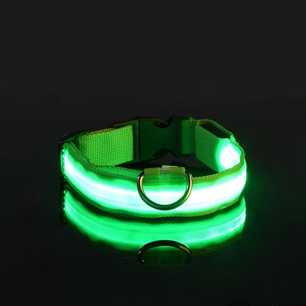 LED Night Safety Flashing Dog Collar