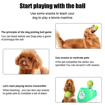 Automatic Tennis Launcher Dog Pet Toy