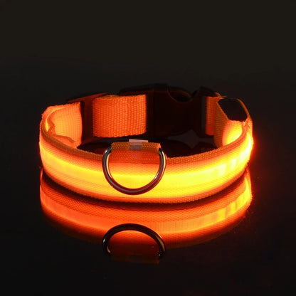 LED Night Safety Flashing Dog Collar