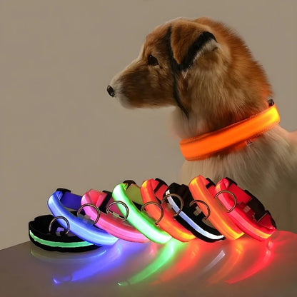 LED Night Safety Flashing Dog Collar