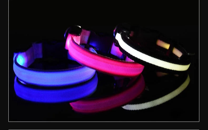 LED Night Safety Flashing Dog Collar