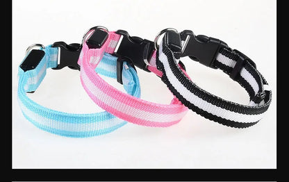 LED Night Safety Flashing Dog Collar