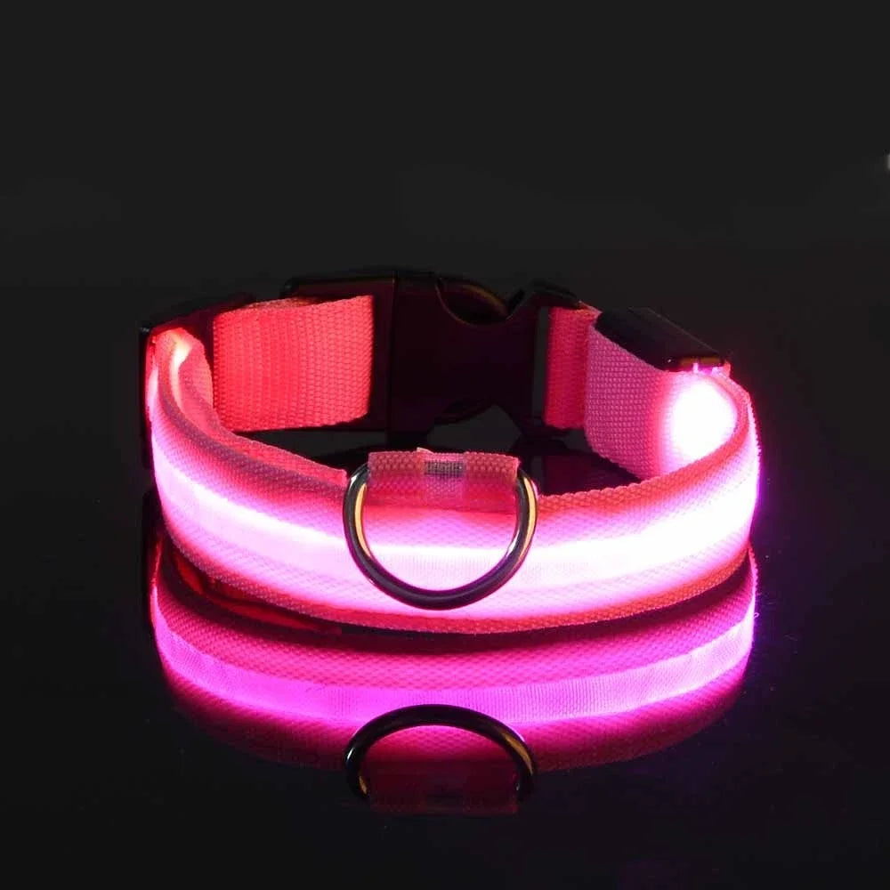 LED Night Safety Flashing Dog Collar