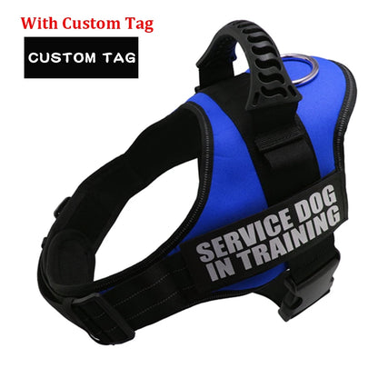 Personalized Reflective Adjustable Harness