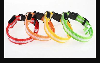 LED Night Safety Flashing Dog Collar