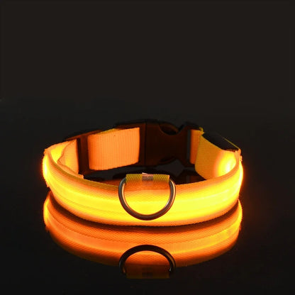 LED Night Safety Flashing Dog Collar